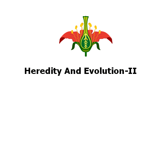 Heredity And Evolution-II